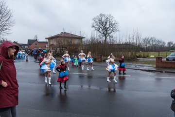 Bild 323 - Latuff 2017